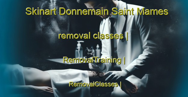 Skinart Donnemain Saint Mames removal classes | RemovalTraining | RemovalClasses | SkinartTraining-France